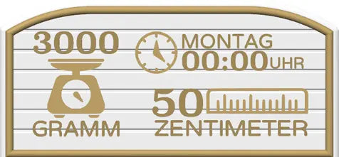 Zug zur Geburt | personalisierbar
